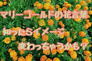 かっこいい専門用語 まとめ 中二病心をくすぐるカタカナ語集 雑学トレンディ