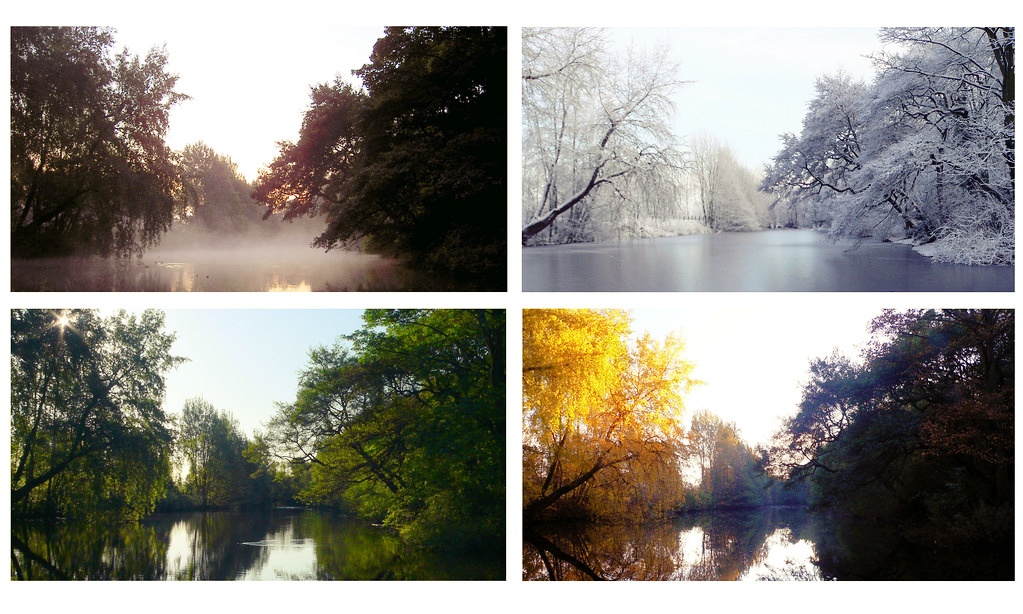 夏至とは?地域で食べ物や風習が違う?!簡単レシピもご紹介 雑学トレンディ