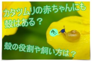 かっこいい専門用語 まとめ 中二病心をくすぐるカタカナ語集 雑学トレンディ
