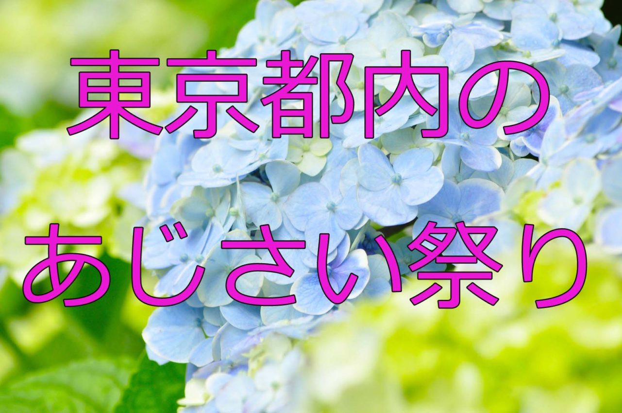 あじさい祭りを催す東京 ライトアップするイベントもあり 雑学トレンディ