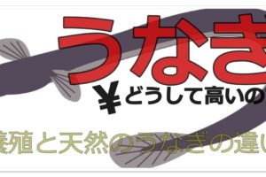 かっこいい専門用語 まとめ 中二病心をくすぐるカタカナ語集 雑学トレンディ