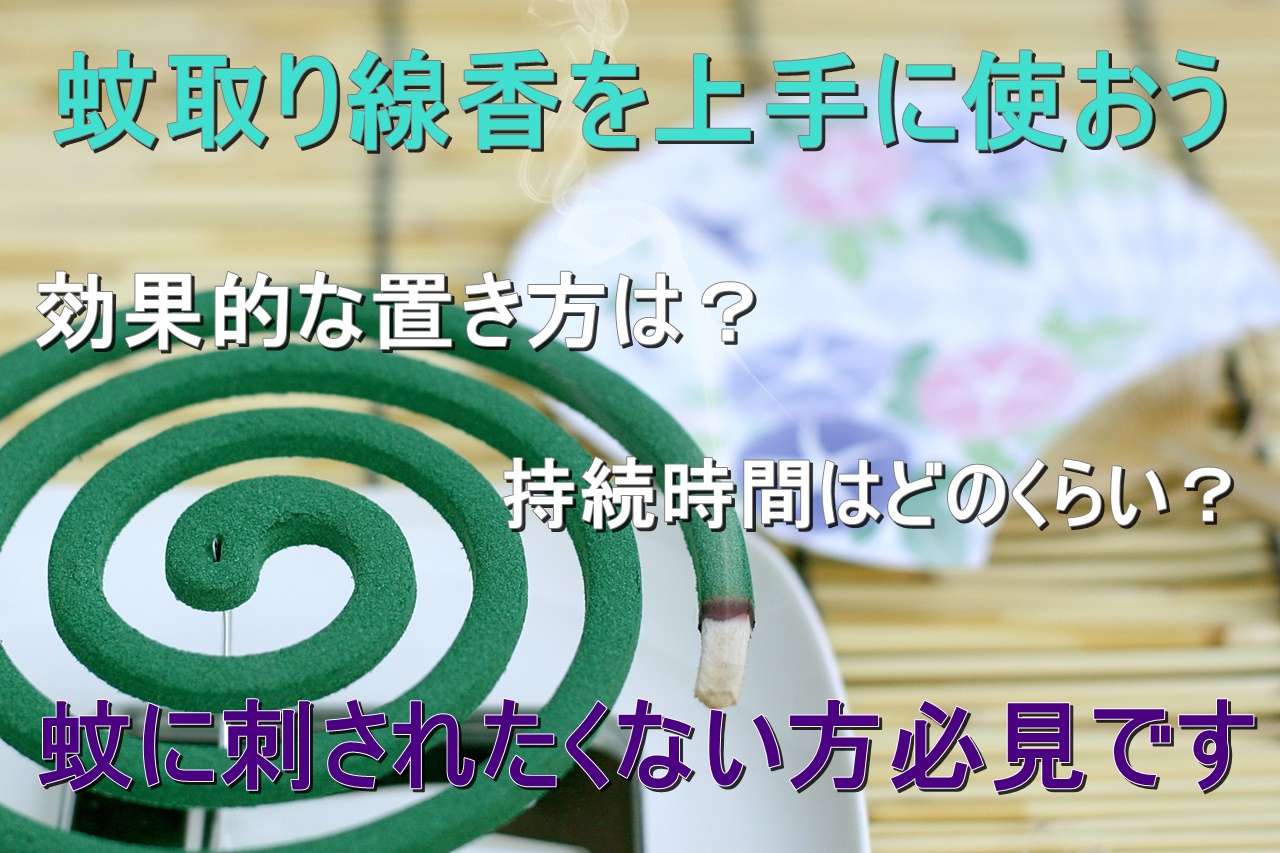 蚊取り線香の効果はあるの 届く範囲と持続時間をお教えします 雑学トレンディ