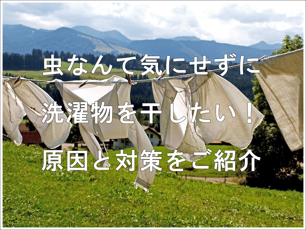 洗濯物に虫がつかない方法ってないの 予防方法などをご紹介 雑学トレンディ