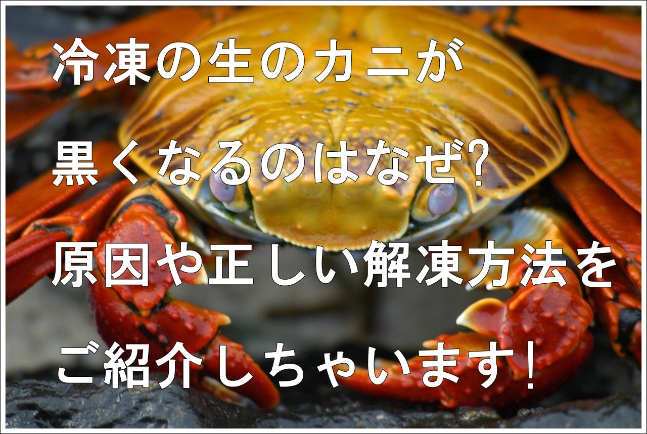 カニが黒くなる原因ってなに 正しい解凍方法があるって本当 雑学トレンディ