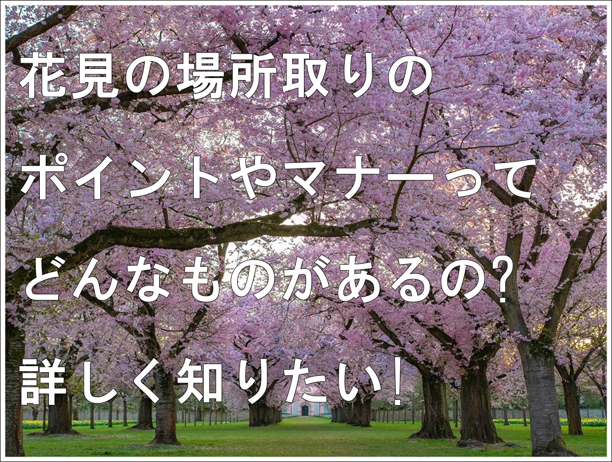 花見の場所取りのポイントやマナーって 必要なものもご紹介します 雑学トレンディ