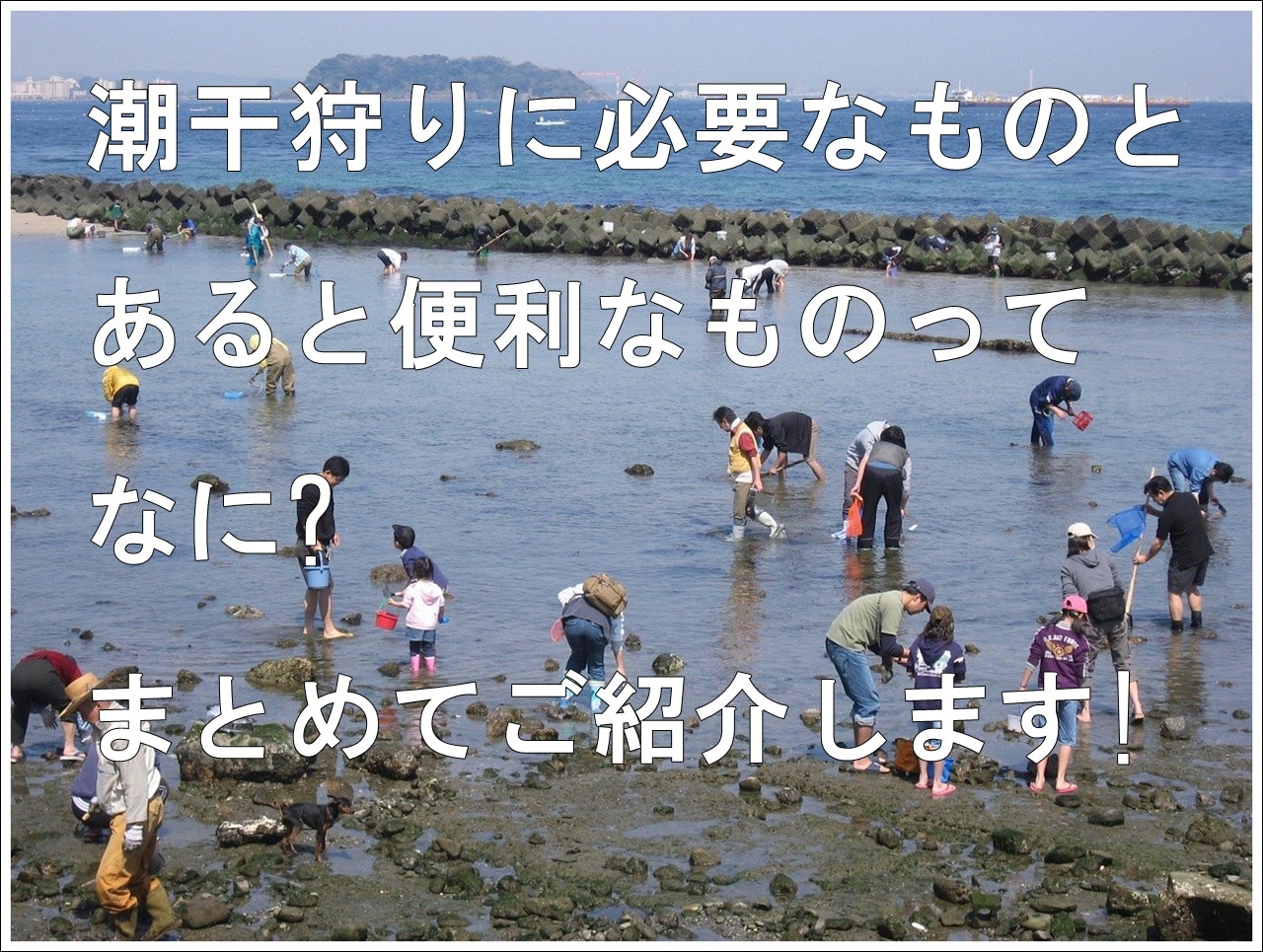 潮干狩りの道具で必需品や便利なものってなに 100均で揃うの 雑学トレンディ