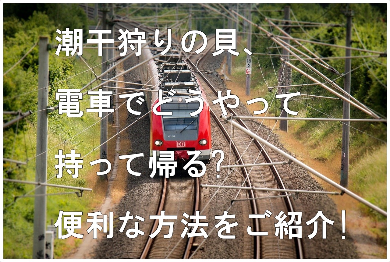 潮干狩りの持ち帰り方は電車ならどうする 長時間鮮度を保つ方法 雑学トレンディ