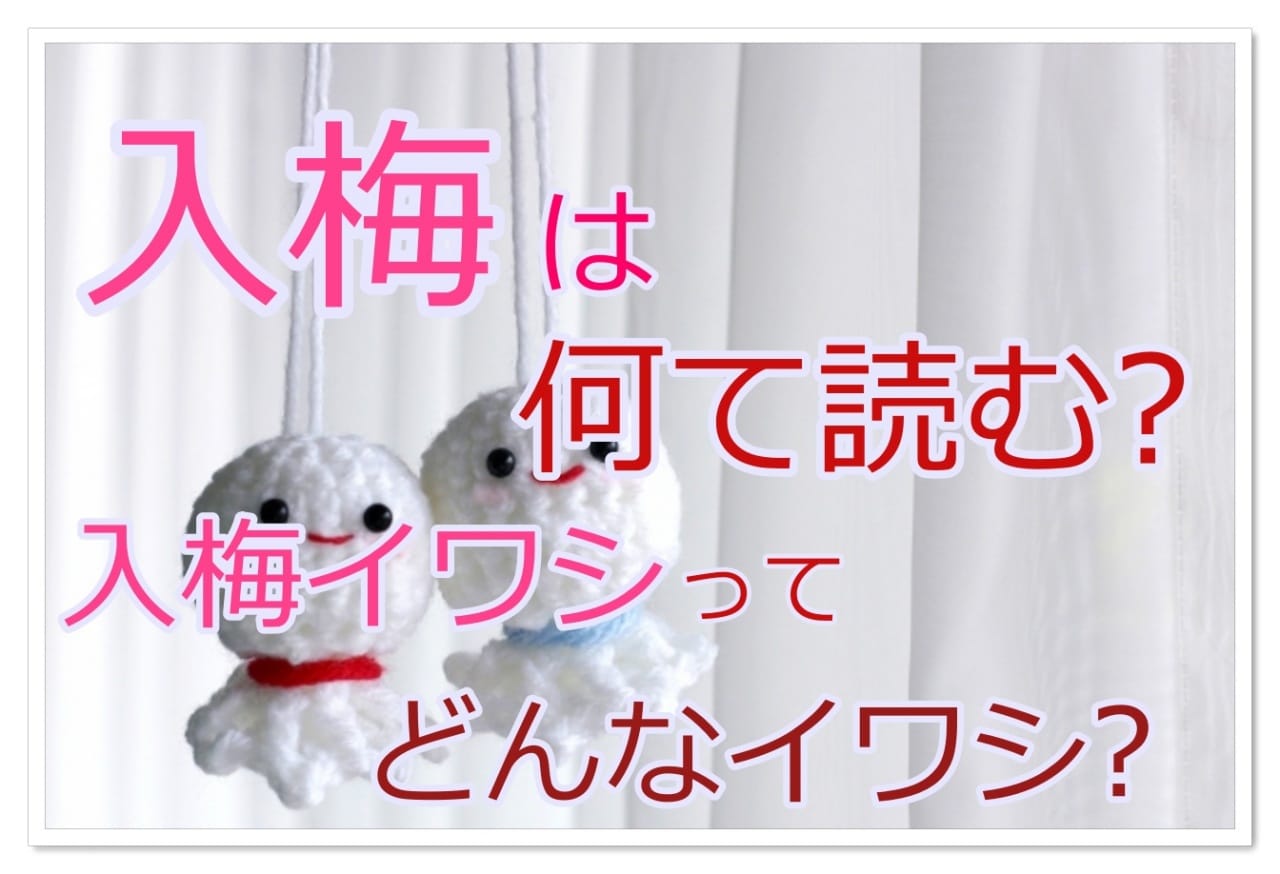 入梅の読み方は いつのこと 意味やイワシとの関係についても解説 雑学トレンディ